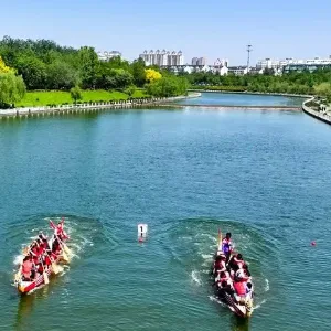 衡水市首家人工智能OPC（一人公司）落地