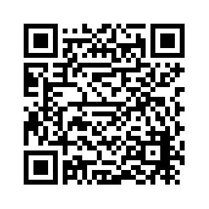 “雄才杯”人工智能OPC专项赛(第4场)成功举办-中国雄安官网