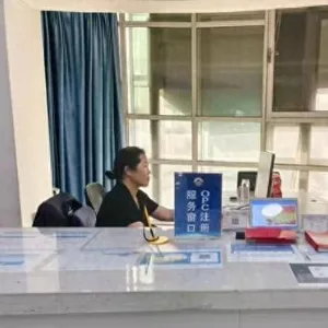 石家庄市赵县:优化政务服务 构建OPC创新创业新生态